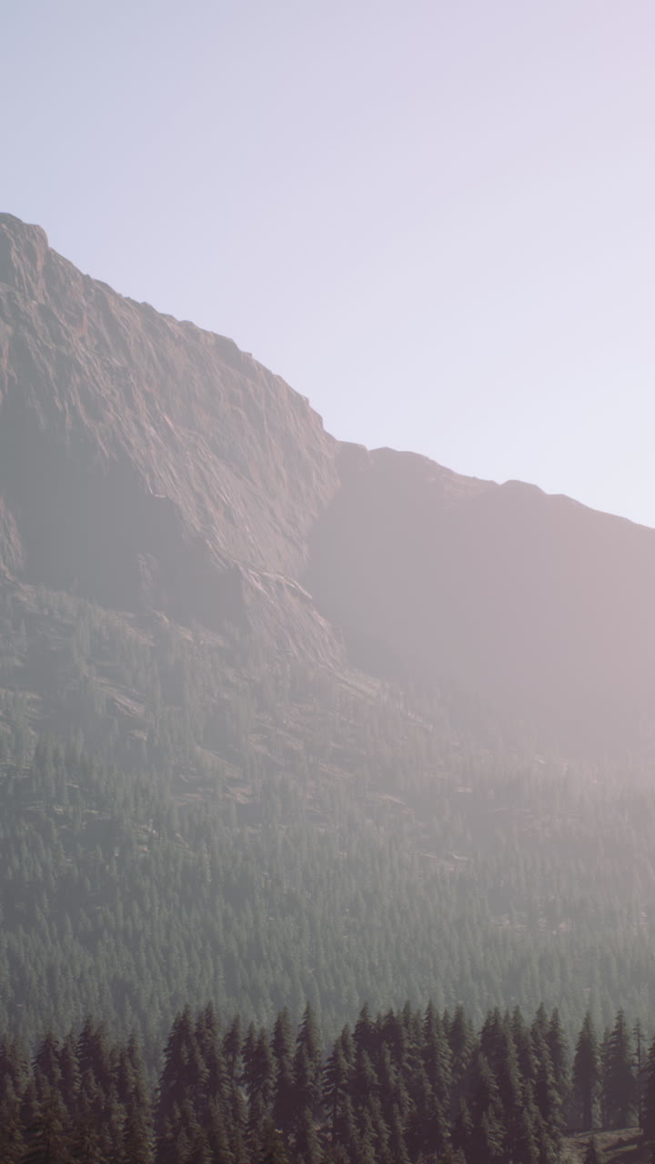 paisaje forestal de montaña