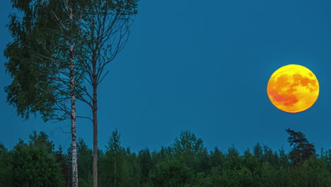 Timelapse--Orange-blood-moon-moving-across-clear-blue-night-sky