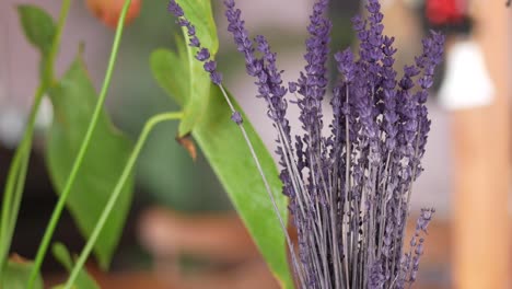 dried lavender bouquet