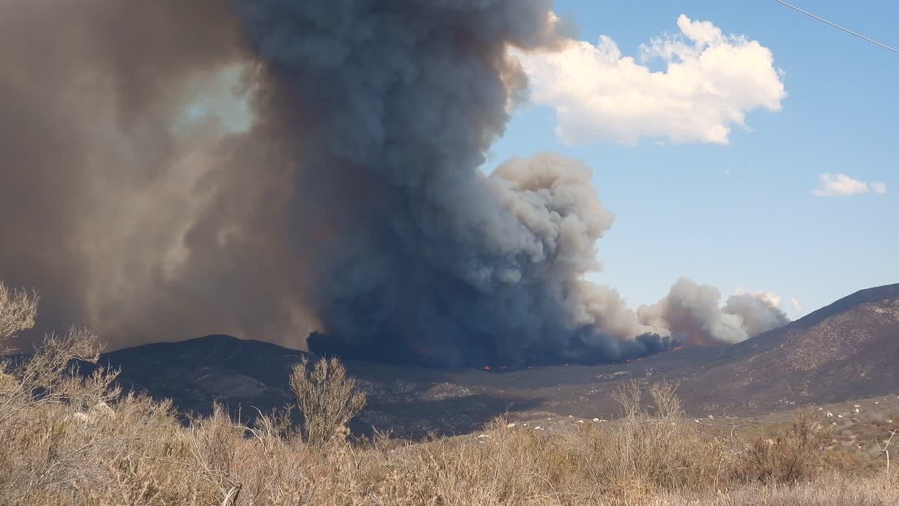 시간 경과 | 짙은 회색 연기 기둥이 초원에서 하늘로 울부짖는다