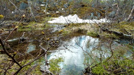 Stream-from-the-glacier