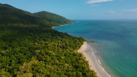 Tropical-Daintree-Rainforest-beach,-Cape-Tribulation