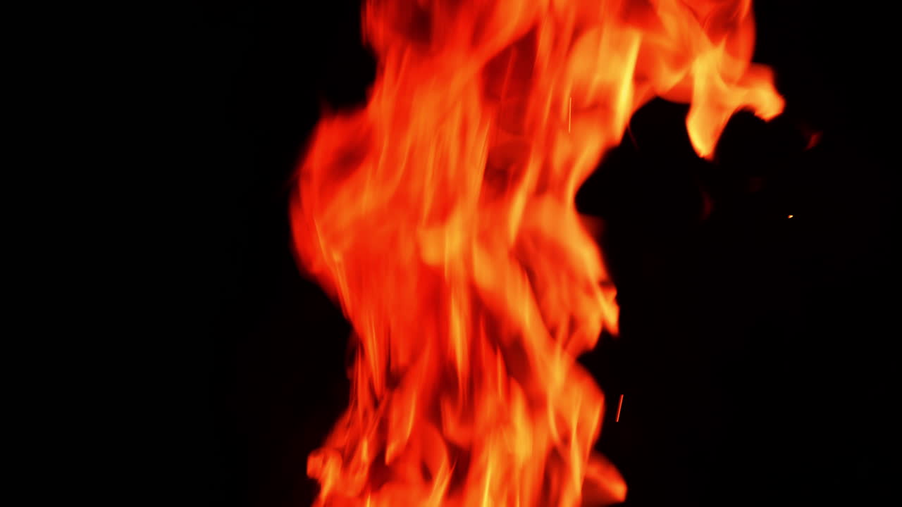 Burning campfire on the total black backdrop. Little orange flames going up quickly.