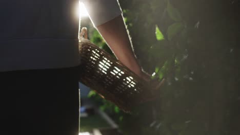 woman carries basket into morning light 1000 fps phantom