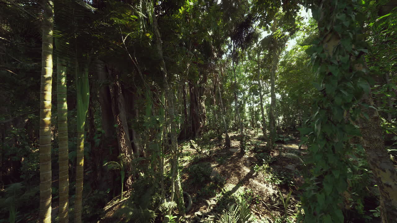 Scenario di una foresta lussureggiante
