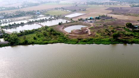 The-flying-environment-plants-the-greenery-forest-and-riverside