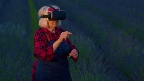 la abuela moderna progresista, la mujer granjera en el campo, las flores de lavanda usan tecnología de realidad virtual.
