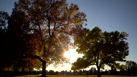 Person-biking-in-Denver-City-Park-during-sunset-in-Denver,-Colorado