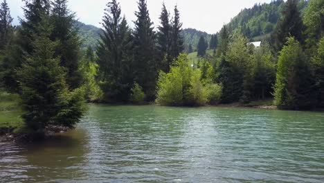 Aerial-low-altitude-moving-shot-along-lake-front-with-trees-in-the-foreground