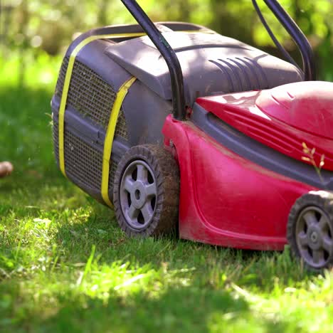 lawn mower on green grass