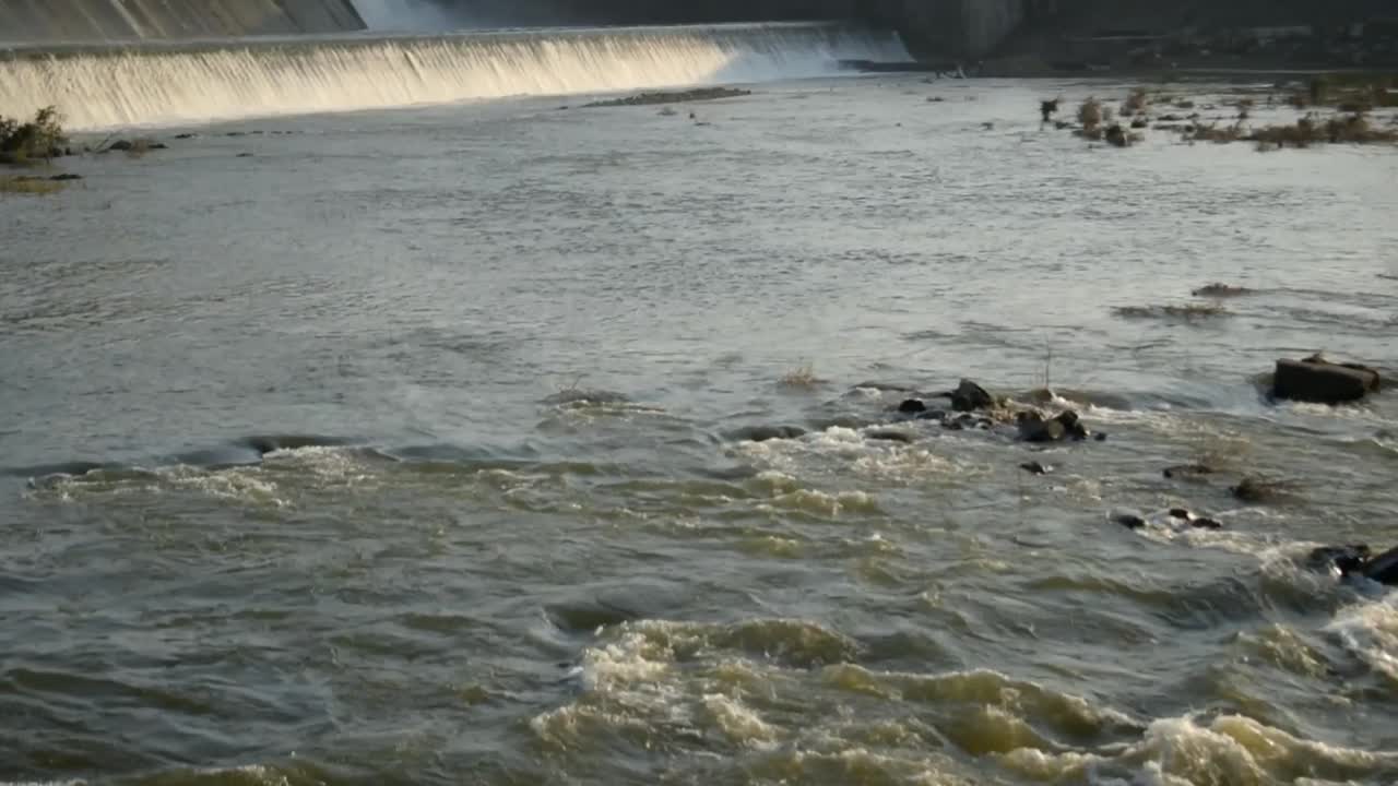 Serene River Flowing Downstream from a Dam