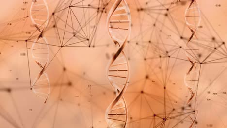 animación de cadenas de adn sobre una red de conexiones en fondo rosa
