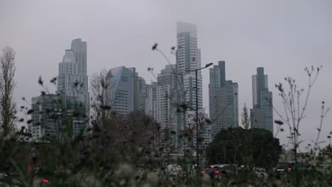 horizonte estable de puerto madero y tráfico detrás de la vegetación desenfocada