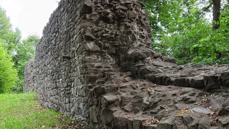 ancient ruine wall in forest with tree in foreground