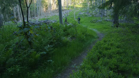 Ciclista-De-Montaña-Pasa-Por-Un-Sendero-A-Alta-Velocidad-A-Través-De-Un-Claro-Del-Bosque