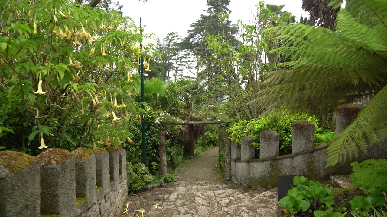 muro de piedra defensivo en sendero villa sassetti