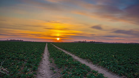 vasto campo abierto con huellas de tractores que conducen al horizonte durante la colorida puesta de sol, lapso de tiempo
