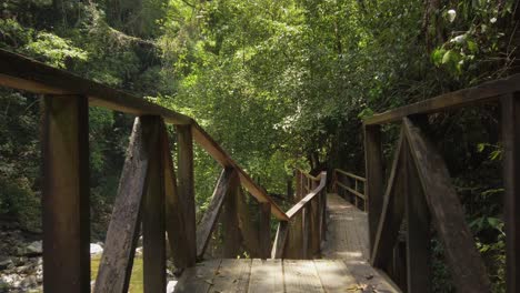 Caminando-Por-Una-Estrecha-Pasarela-De-Madera-Sobre-Un-Arroyo-De-Agua-Dulce-Natural-Junto-A-árboles-Verdes-En-El-Bosque-Rural,-Sartén-De-Mano