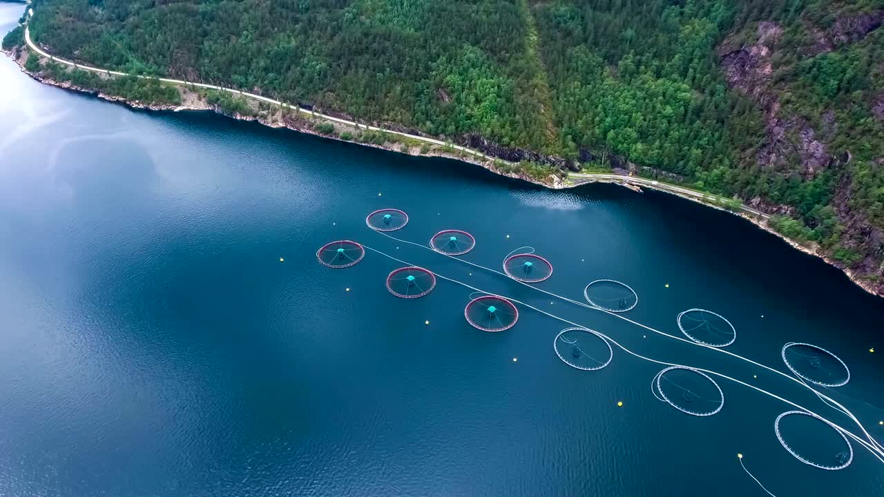 노르웨이에서 연어  ⁇ 시를 하는 공중 촬영