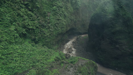 river flowing through lush green canyon in tumpak sewu waterfall, east java, indonesia