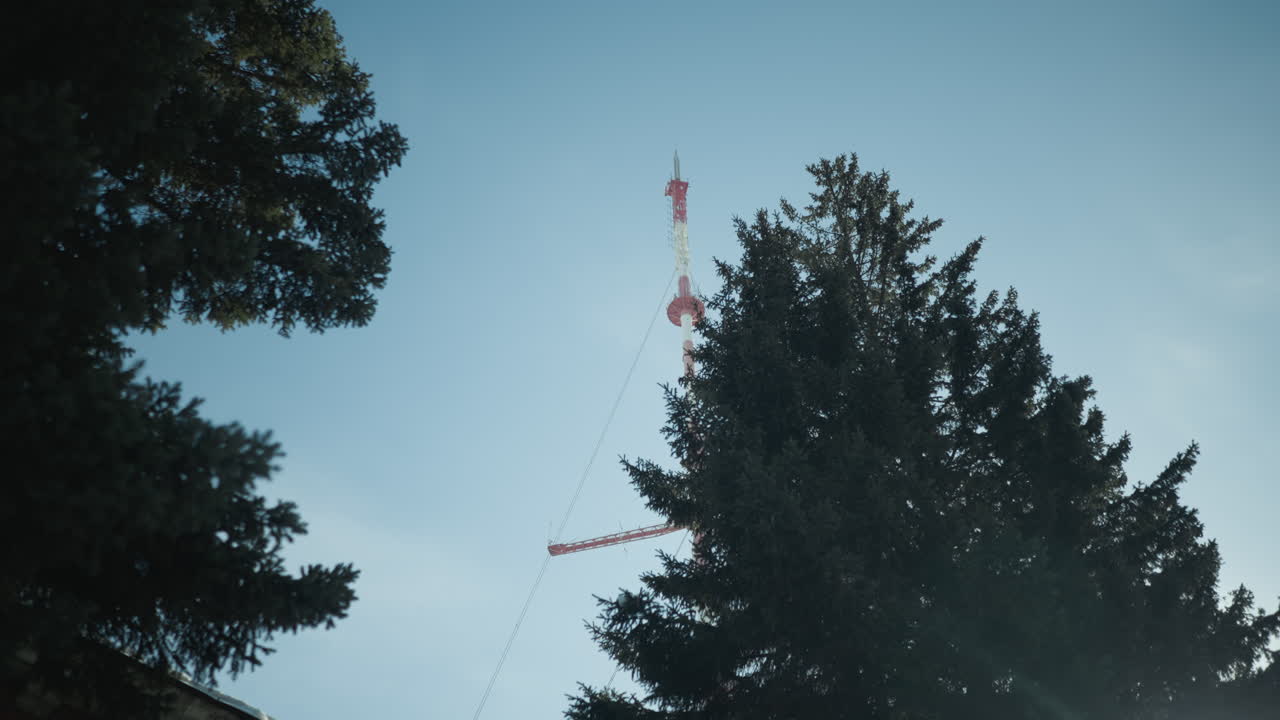 skyward view winter spruce tops framing distant red white telecom tower, crisp blue sky, soft breeze through needles, cold urban morning mood, subtle motion in branches
