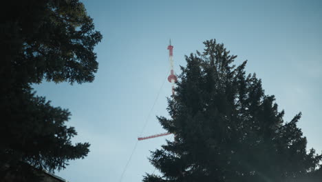 skyward view winter spruce tops framing distant red white telecom tower, crisp blue sky, soft breeze through needles, cold urban morning mood, subtle motion in branches