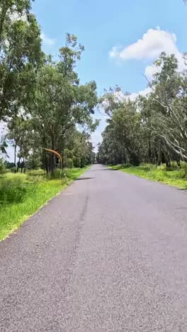 viaje por carretera a través del exuberante paisaje australiano bordeado de árboles