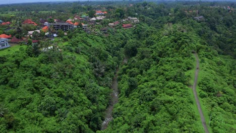 A-Peaceful-and-Splendid-Panorama-of-Campuhan-Ridge-Walk,-Bali,-Indonesia---Drone-Flying-Forward