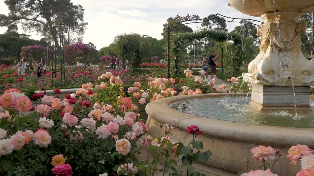 Detail shot of Fuente del Fauno with soft pink shrub roses and visitors in La Rosaleda, Retiro Park.