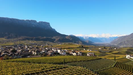 aerial drone over the vineyards in autumn in alto adige in italy