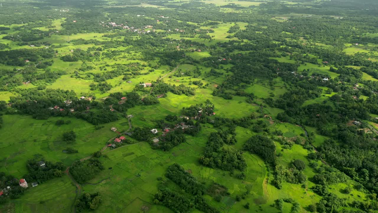 검은 구름 속의 푸른 숲 하이퍼  ⁇ 스 조류의 시야