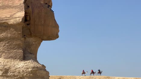 sphinx up-close in giza governorate in cairo, egypt