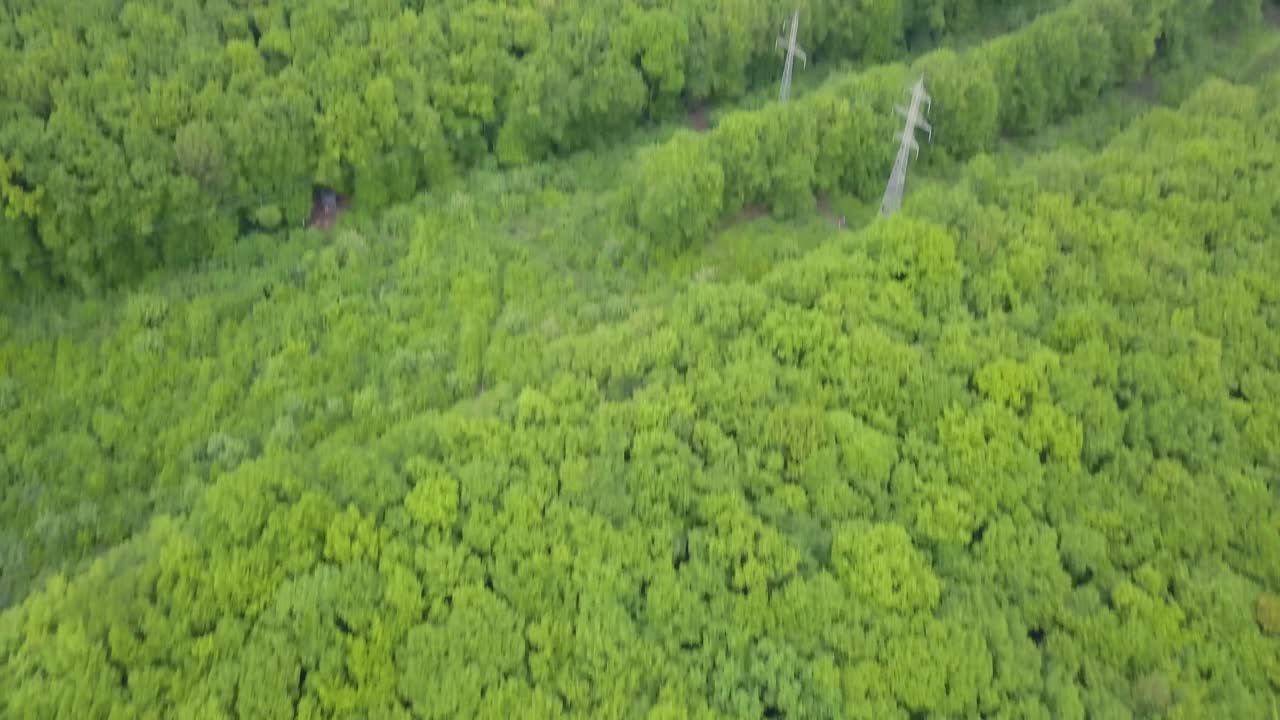 bosque verde mixto muy denso - vista desde arriba, imágenes aéreas sin espacios, muy estrechas