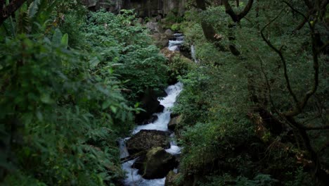 slow motion shot of cupatitzio river at uruapan, michoacán national park at sunset