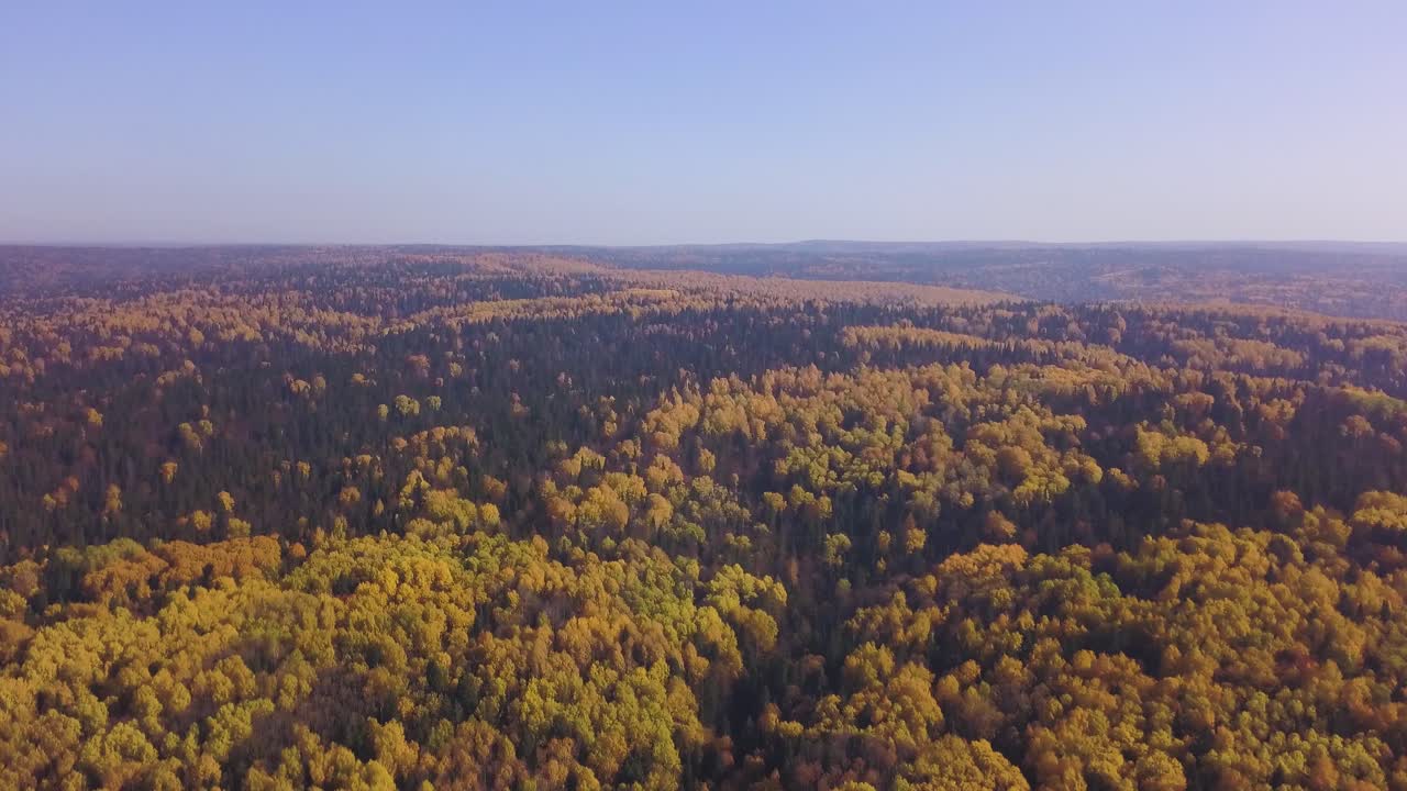 가을의 숲의 항공사진