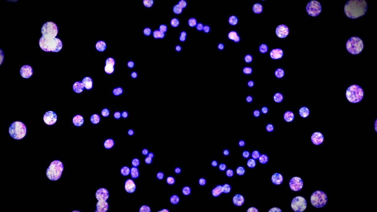 검은 바탕에 많은 은 크리스탈 구를 날아. 투명, 다채로운 유리 빛. 반이는 공 회전의 3d 애니메이션. 루프 애니메이션.