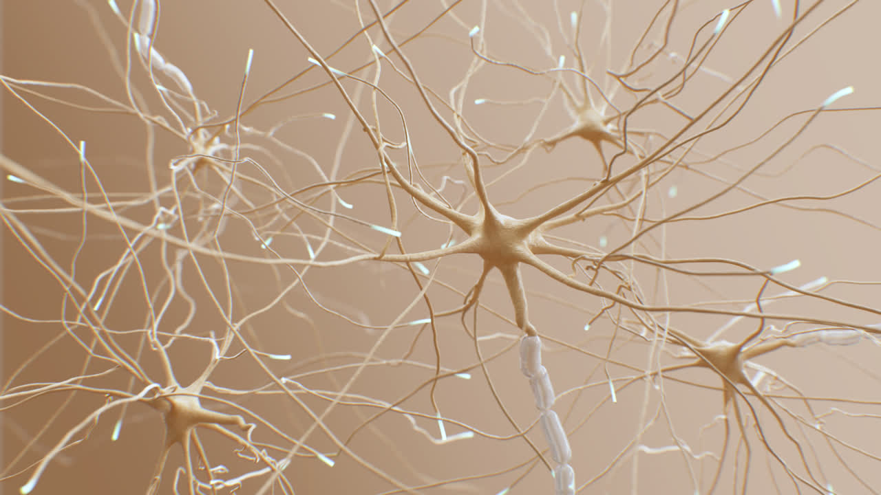 Neural Network Firing with Electrical Impulses