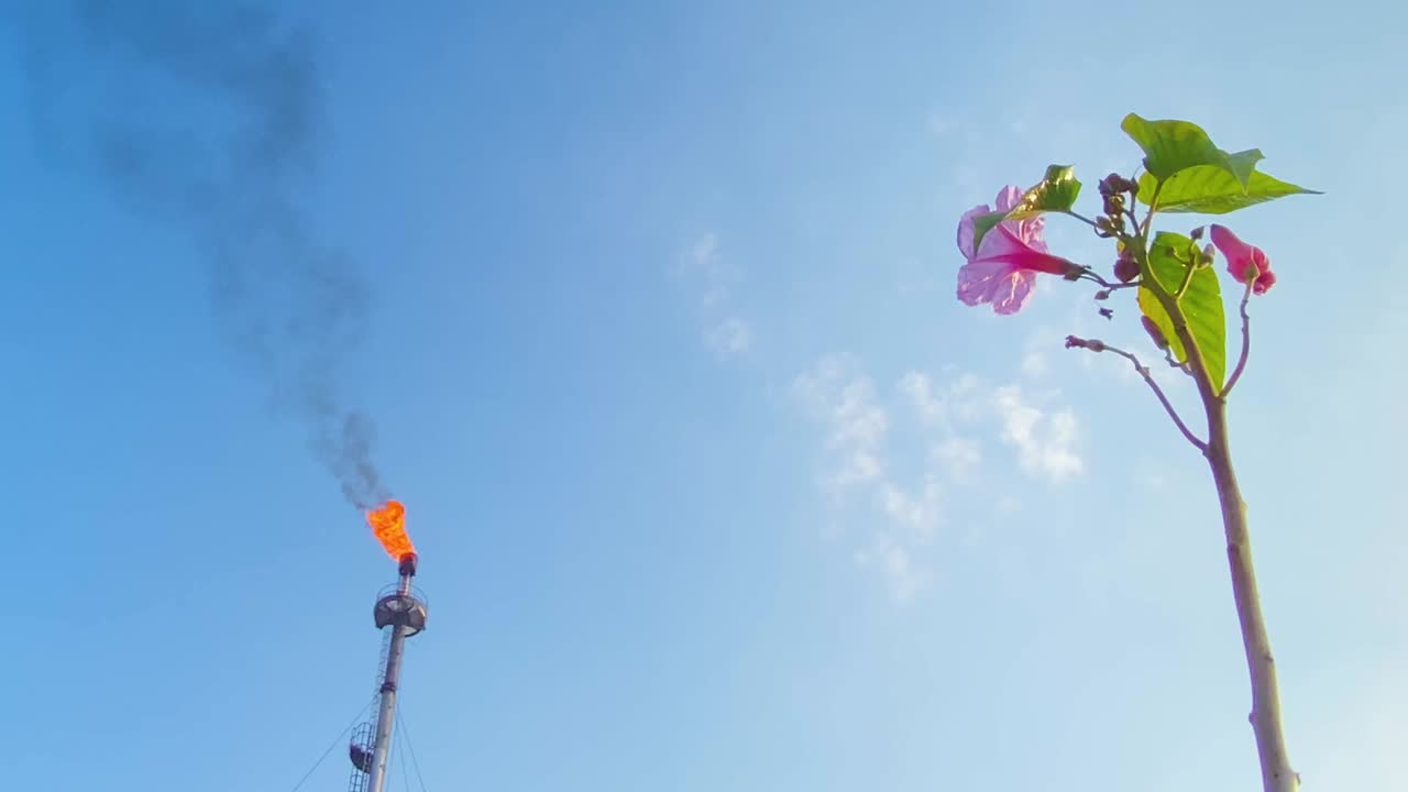 가스 연소 오염 자연에 영향을 미 ⁇ 니다.