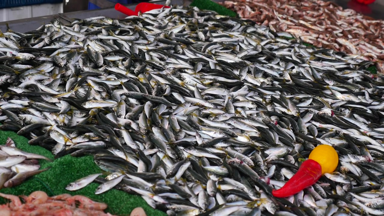 Fresh Fish and Seafood Displayed at a Local Market