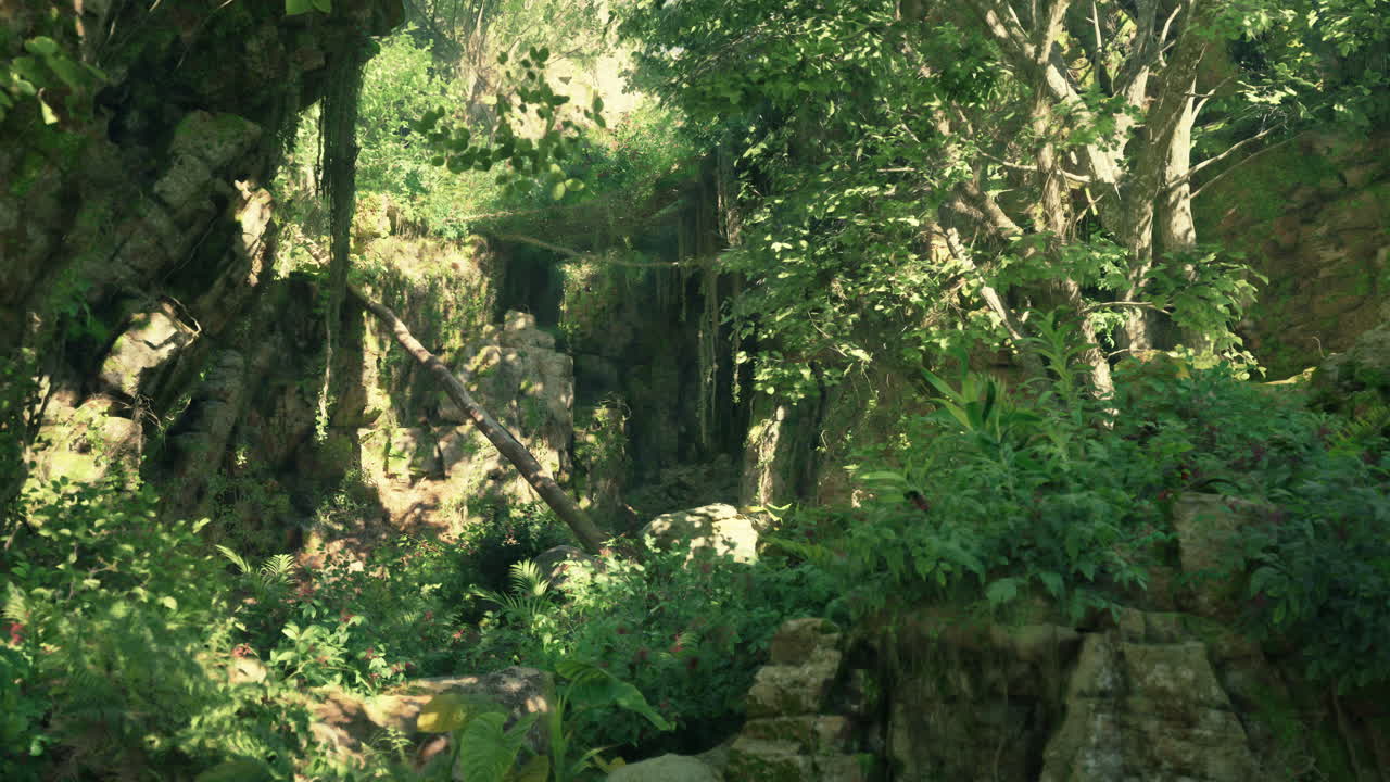 울창한 정글 장면