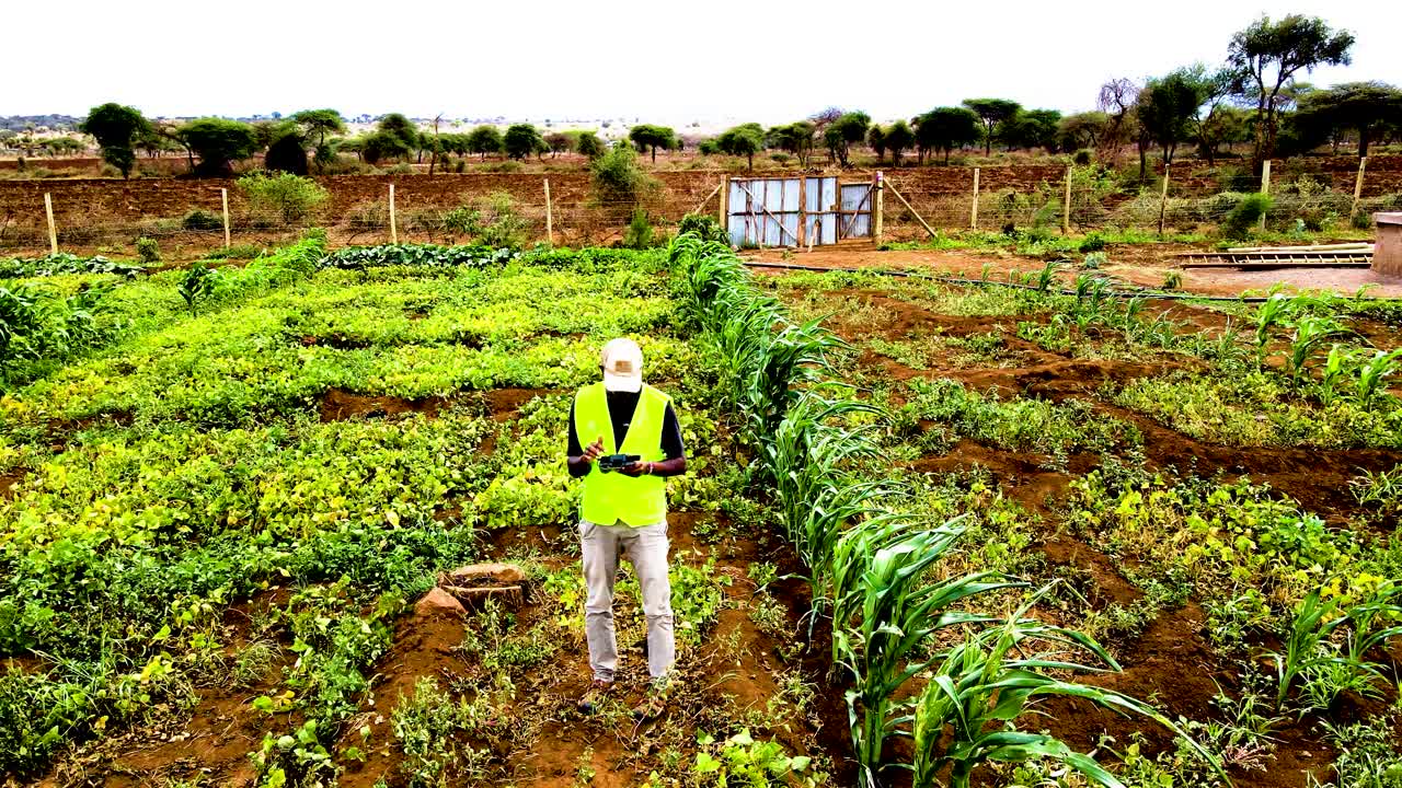 케냐 의 농촌 농장 들