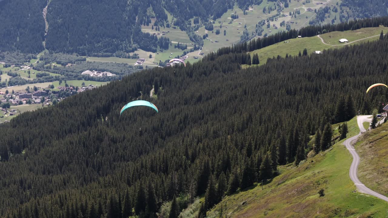 Paragliders swoop and soar above dense evergreen forest on slopes of Grindelwald Valley alps Switzerland, aerial tracking