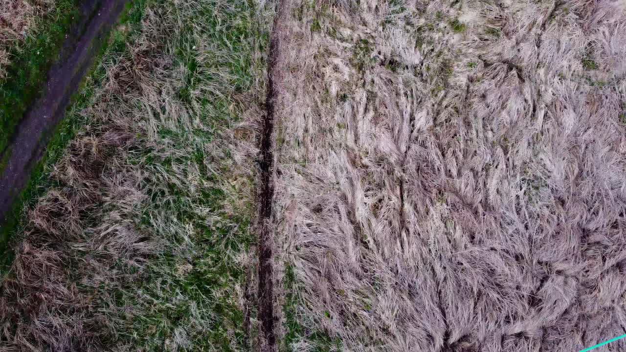Aerial bird's eye view over a pathway surrounded by dry grass on the outskirts of a Thetford forest, Norfolk, UK at daytime