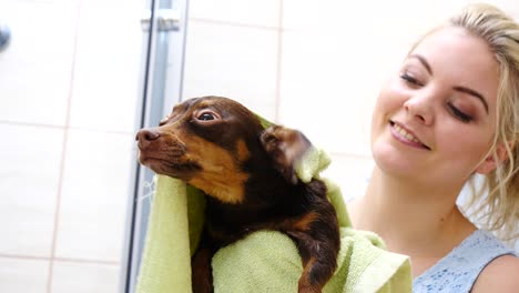 secando a su perro después de un baño de mujer