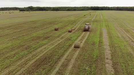 un agricultor en un tractor presiona la paja en rollos después de cosechar los cultivos de grano en un campo agrícola en clima nublado