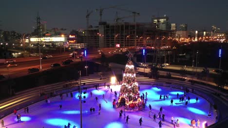pista de patinaje sobre hielo con árbol de navidad por la noche