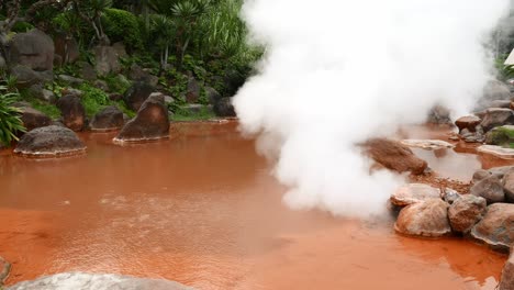 bosque con una piscina natural de aguas termales