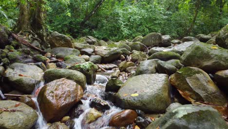 River-Boulders-Flowing-Water-Cascading-Over-Rocks-Forming-Small-Waterfalls-in-a-Lush-Green-Forest,-Low-Dolly-Shot