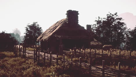 medieval village cottage scene