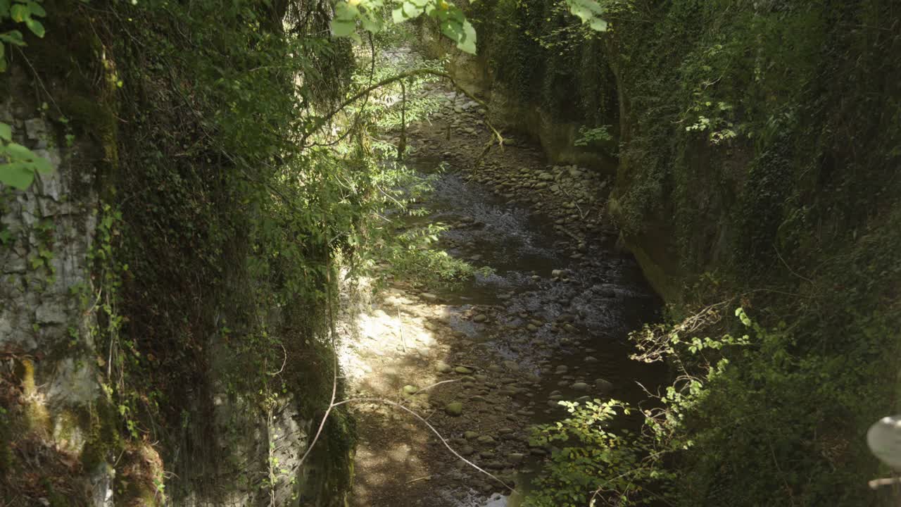 Ripresa dall'alto di un piccolo fiume in una foresta verde con pietre grigie